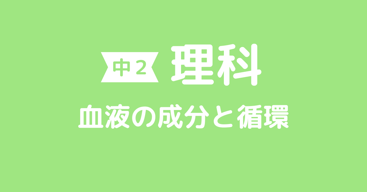 【中2理科】血液の成分と循環